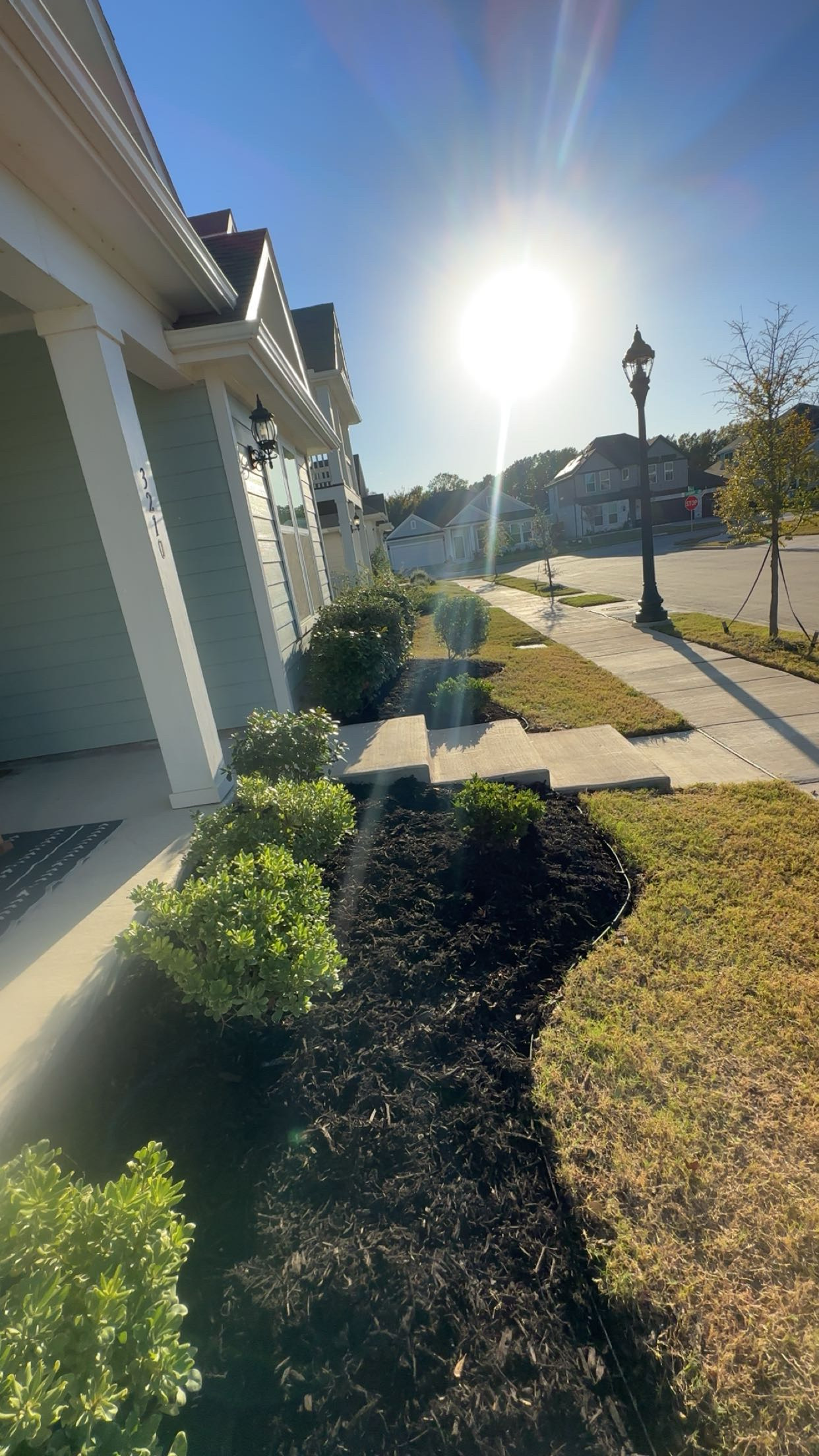 Wilson Tate Landscape Management 